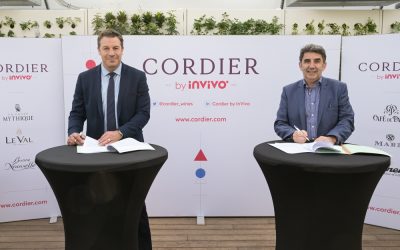 Cordier by InVivo devient fournisseur officiel du Stade Français Paris