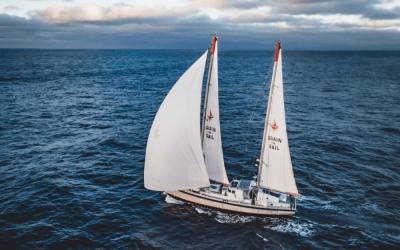 Wine delivery by sailboat, the ecological choice of Château Maris