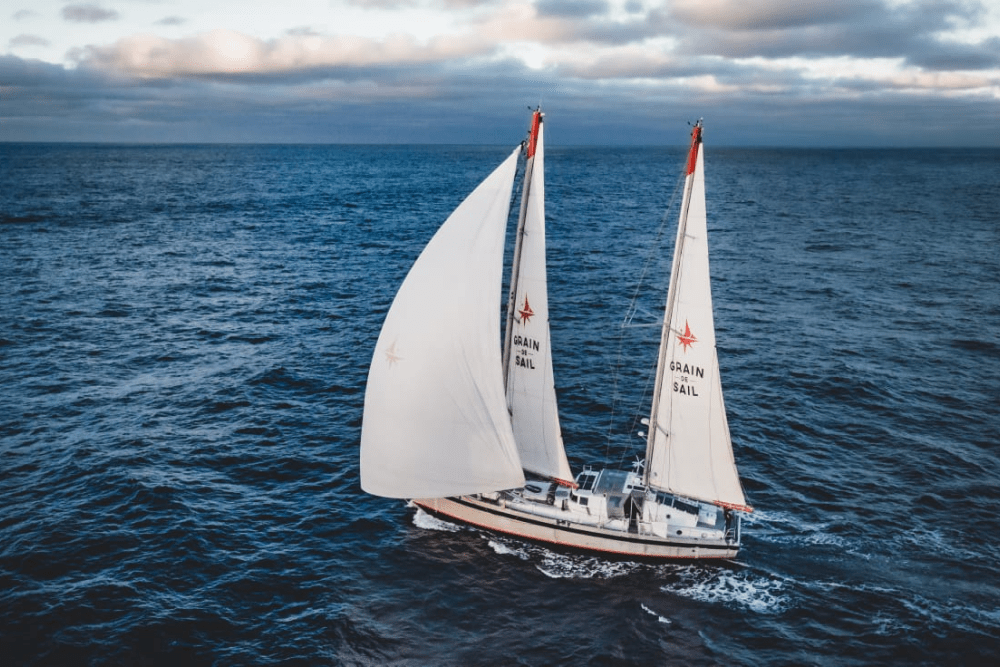 Wine delivery by sailboat, the ecological choice of Château Maris