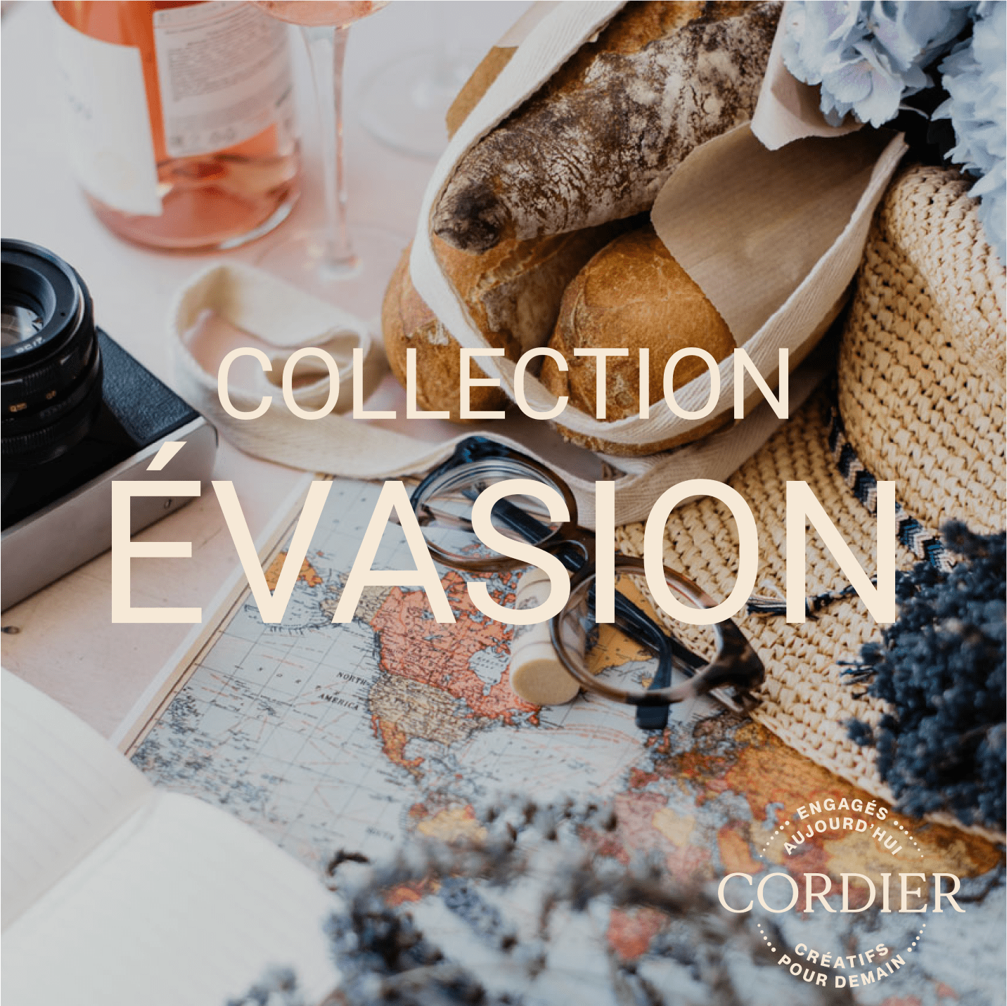 Cordier Collection Evasion