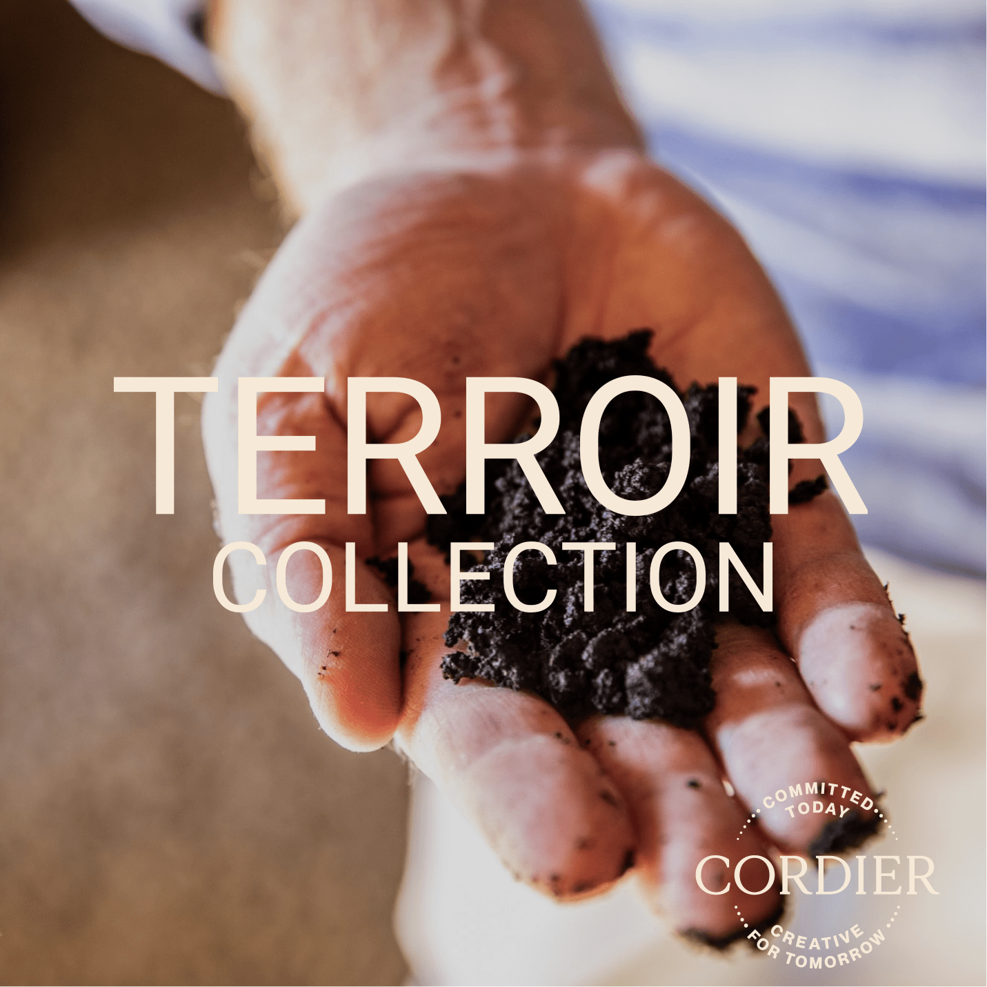 Cordier Terroir Brands Collection