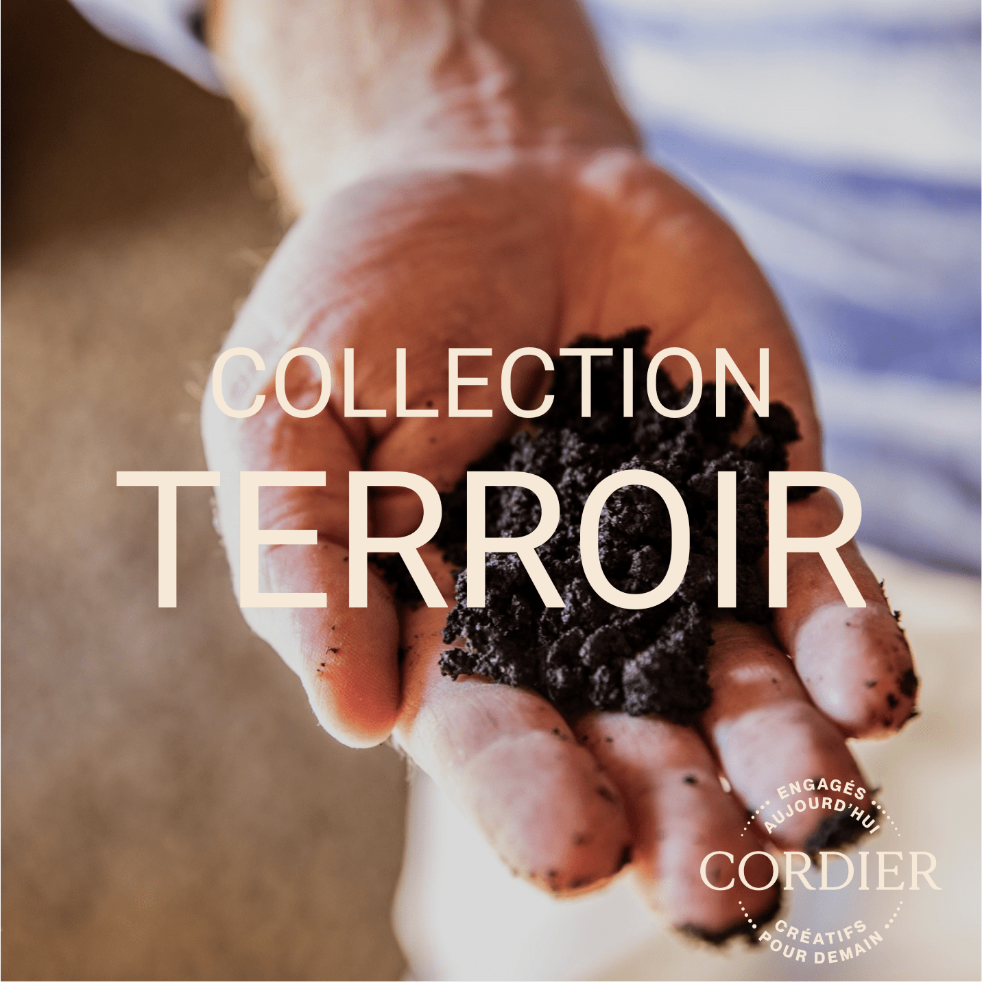 Cordier Collection Terroir