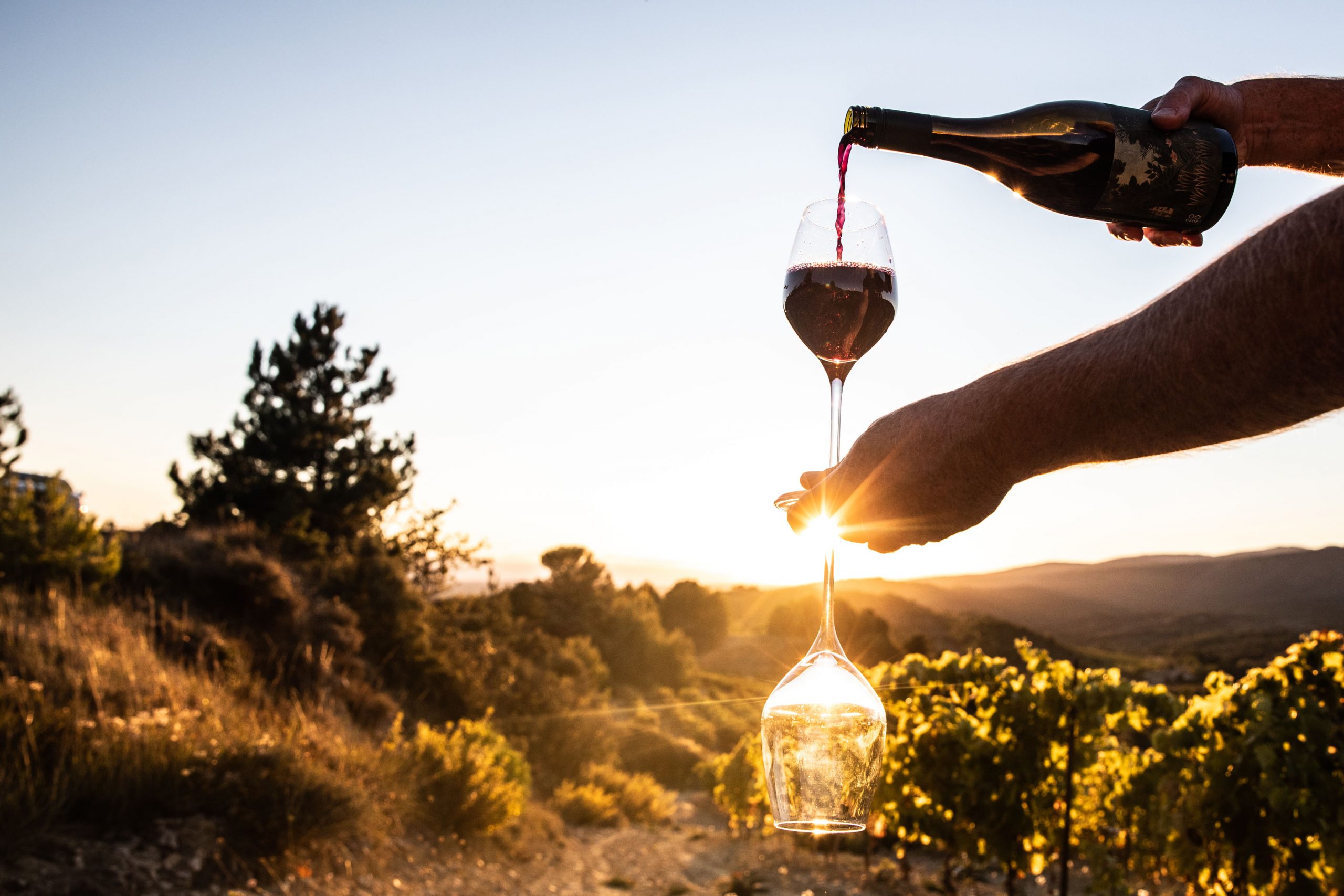 FILLING A GLASS OF WINE AT SUNSET (1)