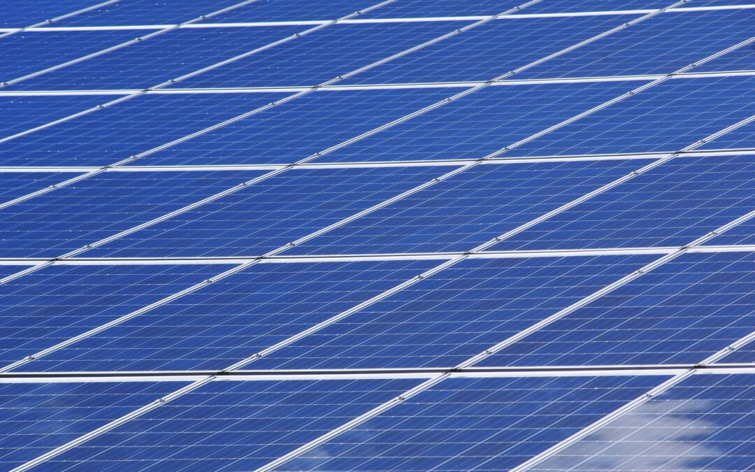 Cordier by InVivo ‘falls’ for solar with Idex !